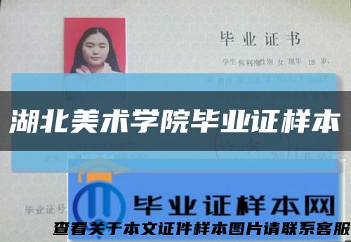 湖北美术学院毕业证样本缩略图