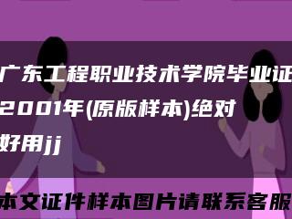 广东工程职业技术学院毕业证2001年(原版样本)绝对好用jj缩略图