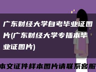 广东财经大学自考毕业证图片(广东财经大学专插本毕业证图片)缩略图