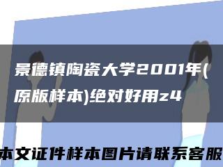 景德镇陶瓷大学2001年(原版样本)绝对好用z4缩略图