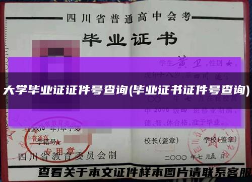 大学毕业证证件号查询(毕业证书证件号查询)缩略图