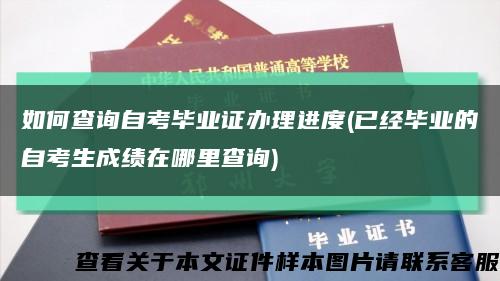 如何查询自考毕业证办理进度(已经毕业的自考生成绩在哪里查询)缩略图