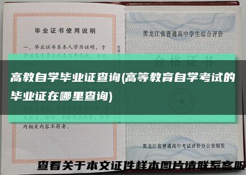 高教自学毕业证查询(高等教育自学考试的毕业证在哪里查询)缩略图