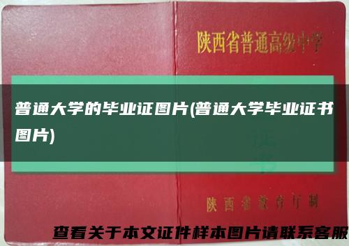 普通大学的毕业证图片(普通大学毕业证书图片)缩略图