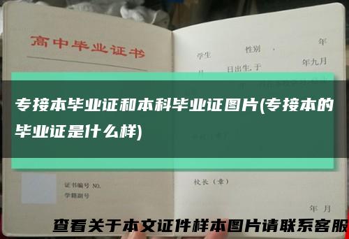 专接本毕业证和本科毕业证图片(专接本的毕业证是什么样)缩略图