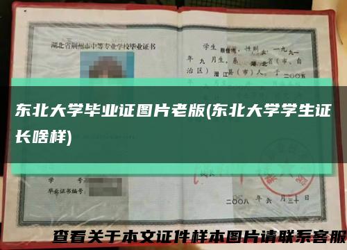 东北大学毕业证图片老版(东北大学学生证长啥样)缩略图