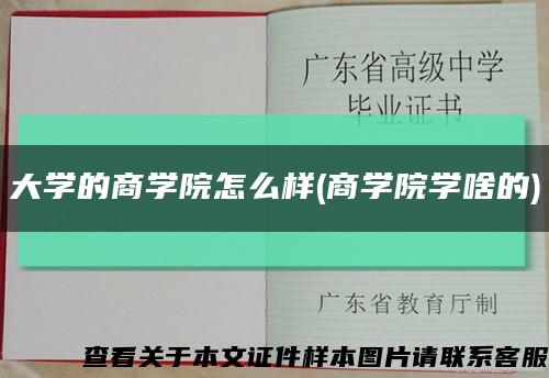 大学的商学院怎么样(商学院学啥的)缩略图