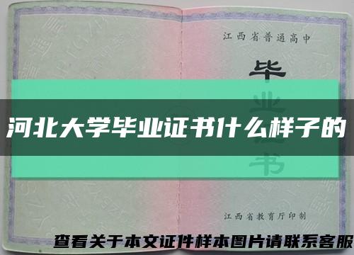 河北大学毕业证书什么样子的缩略图