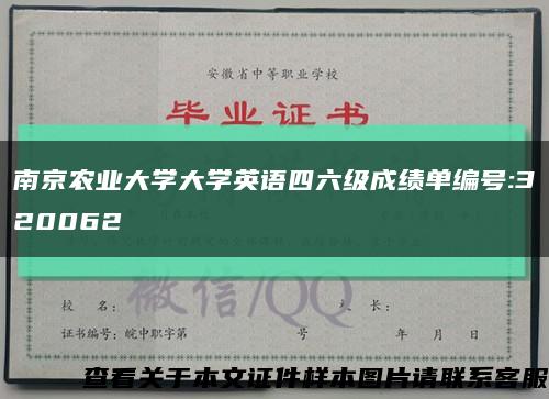 南京农业大学大学英语四六级成绩单编号:320062缩略图