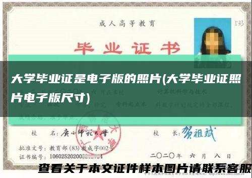 大学毕业证是电子版的照片(大学毕业证照片电子版尺寸)缩略图