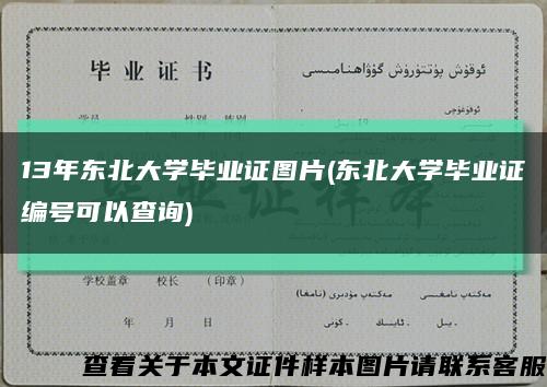 13年东北大学毕业证图片(东北大学毕业证编号可以查询)缩略图