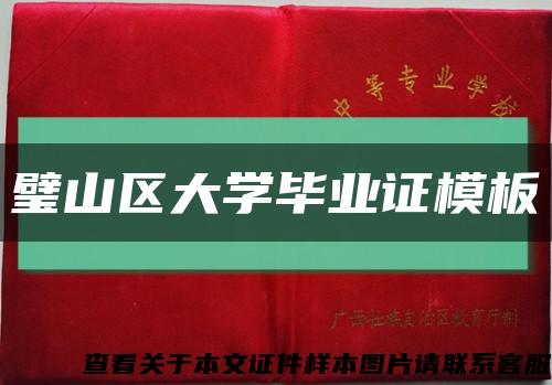 璧山区大学毕业证模板缩略图