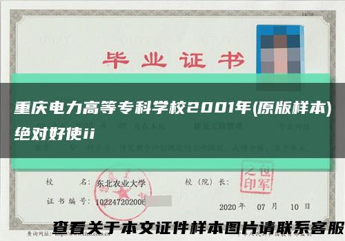 重庆电力高等专科学校2001年(原版样本)绝对好使ii缩略图