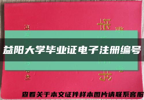 益阳大学毕业证电子注册编号缩略图