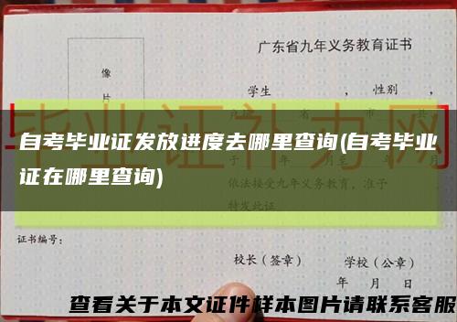 自考毕业证发放进度去哪里查询(自考毕业证在哪里查询)缩略图