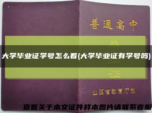 大学毕业证学号怎么看(大学毕业证有学号吗)缩略图