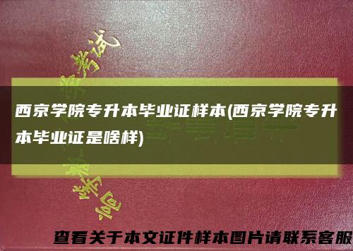 西京学院专升本毕业证样本(西京学院专升本毕业证是啥样)缩略图