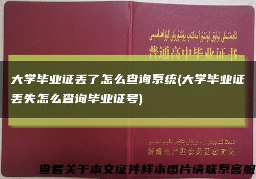 大学毕业证丢了怎么查询系统(大学毕业证丢失怎么查询毕业证号)缩略图