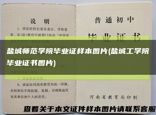 盐城师范学院毕业证样本图片(盐城工学院毕业证书图片)缩略图