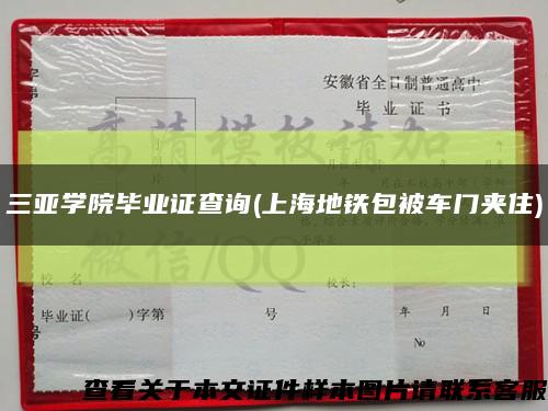 三亚学院毕业证查询(上海地铁包被车门夹住)缩略图