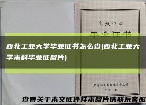 西北工业大学毕业证书怎么查(西北工业大学本科毕业证图片)缩略图