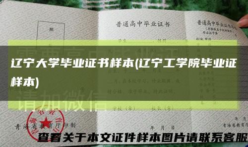 辽宁大学毕业证书样本(辽宁工学院毕业证样本)缩略图