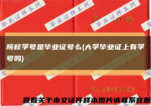 院校学号是毕业证号么(大学毕业证上有学号吗)缩略图