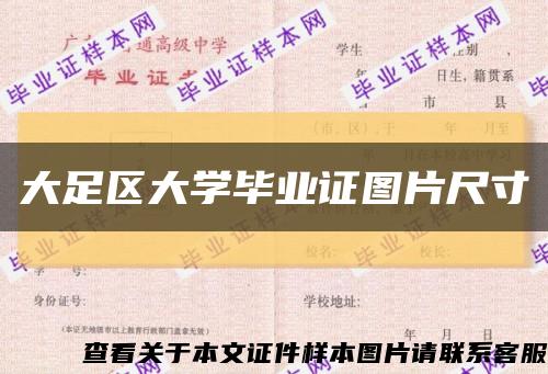 大足区大学毕业证图片尺寸缩略图