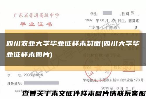 四川农业大学毕业证样本封面(四川大学毕业证样本图片)缩略图