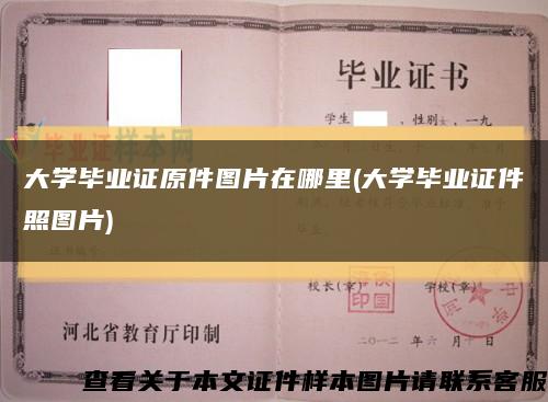 大学毕业证原件图片在哪里(大学毕业证件照图片)缩略图