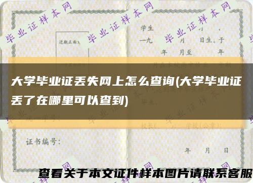 大学毕业证丢失网上怎么查询(大学毕业证丢了在哪里可以查到)缩略图