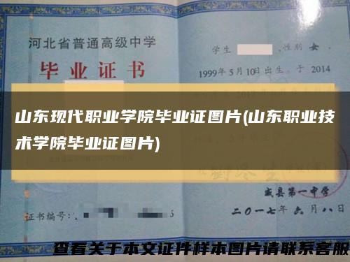 山东现代职业学院毕业证图片(山东职业技术学院毕业证图片)缩略图