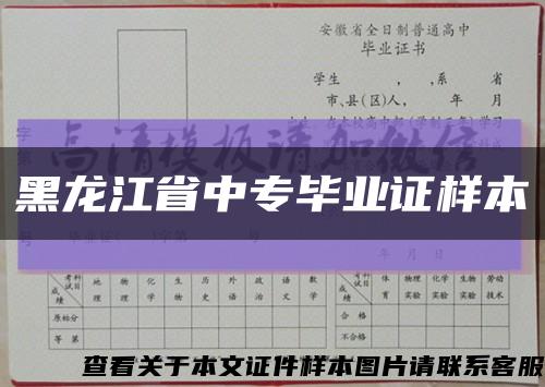 黑龙江省中专毕业证样本缩略图