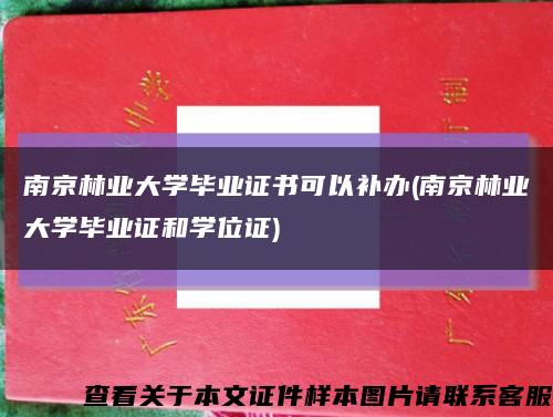 南京林业大学毕业证书可以补办(南京林业大学毕业证和学位证)缩略图