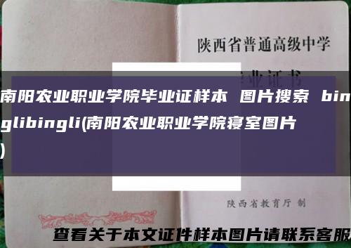 南阳农业职业学院毕业证样本 图片搜索 binglibingli(南阳农业职业学院寝室图片)缩略图