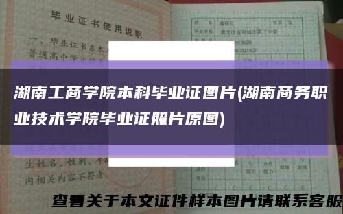 湖南工商学院本科毕业证图片(湖南商务职业技术学院毕业证照片原图)缩略图