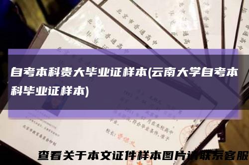 自考本科贵大毕业证样本(云南大学自考本科毕业证样本)缩略图