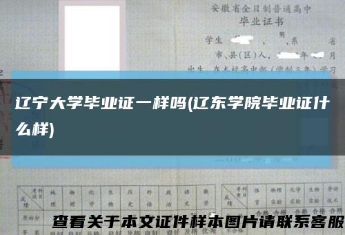 辽宁大学毕业证一样吗(辽东学院毕业证什么样)缩略图