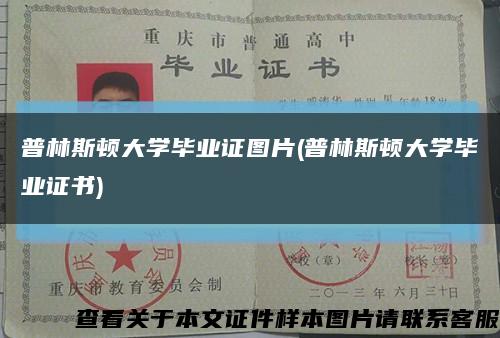 普林斯顿大学毕业证图片(普林斯顿大学毕业证书)缩略图