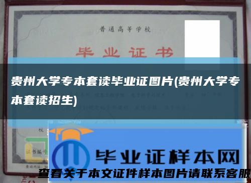 贵州大学专本套读毕业证图片(贵州大学专本套读招生)缩略图