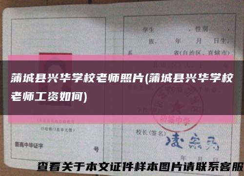 蒲城县兴华学校老师照片(蒲城县兴华学校老师工资如何)缩略图