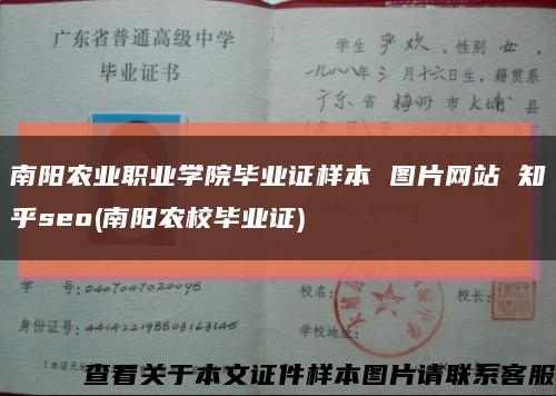 南阳农业职业学院毕业证样本 图片网站 知乎seo(南阳农校毕业证)缩略图