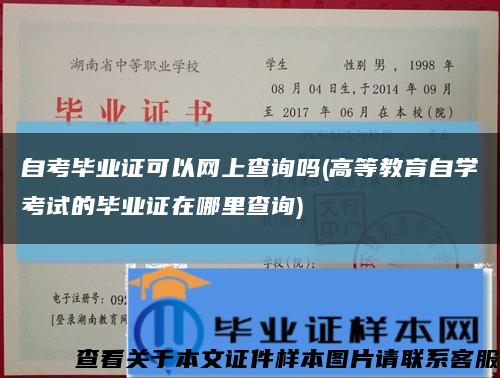 自考毕业证可以网上查询吗(高等教育自学考试的毕业证在哪里查询)缩略图