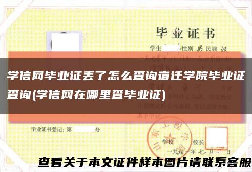 学信网毕业证丢了怎么查询宿迁学院毕业证查询(学信网在哪里查毕业证)缩略图