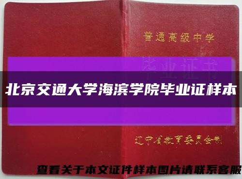 北京交通大学海滨学院毕业证样本缩略图