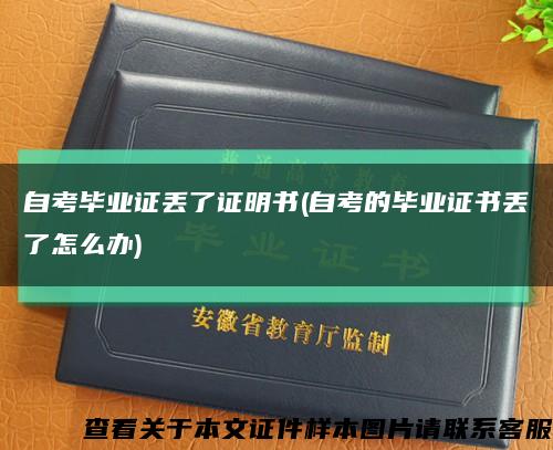 自考毕业证丢了证明书(自考的毕业证书丢了怎么办)缩略图