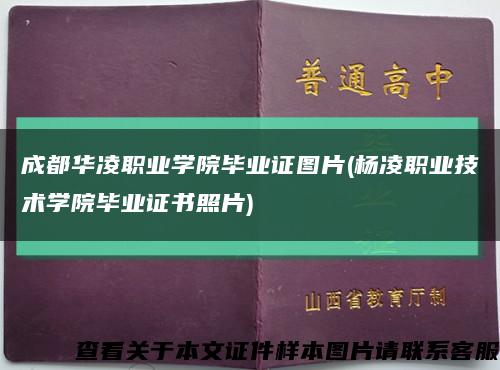 成都华凌职业学院毕业证图片(杨凌职业技术学院毕业证书照片)缩略图