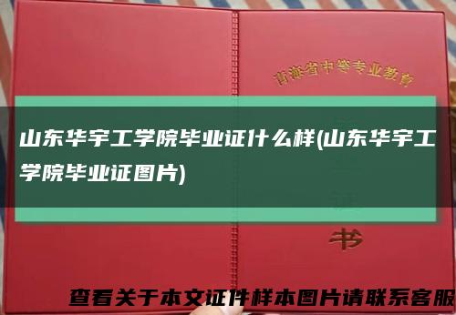 山东华宇工学院毕业证什么样(山东华宇工学院毕业证图片)缩略图