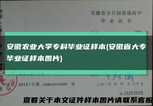 安徽农业大学专科毕业证样本(安徽省大专毕业证样本图片)缩略图