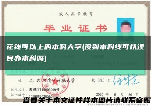 花钱可以上的本科大学(没到本科线可以读民办本科吗)缩略图